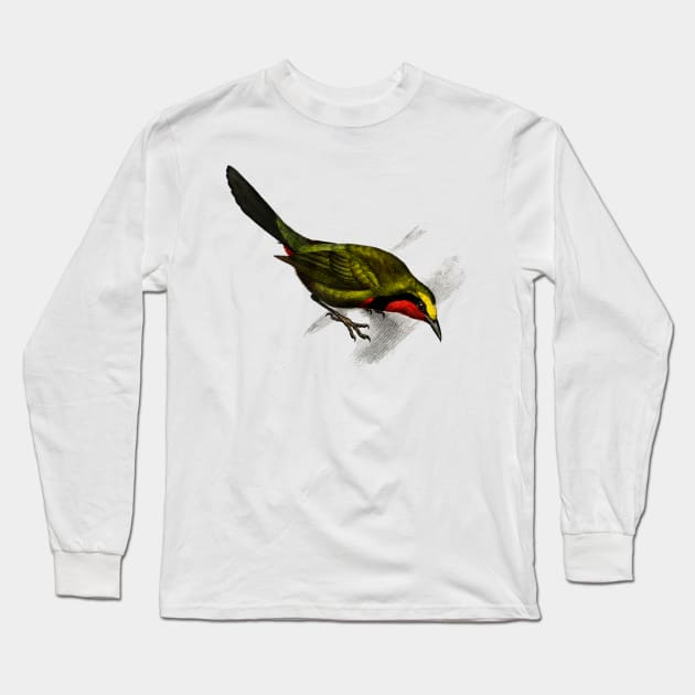Vintage lanius gutturalis bird-animalia clothing Long Sleeve T-Shirt by Phantom Troupe